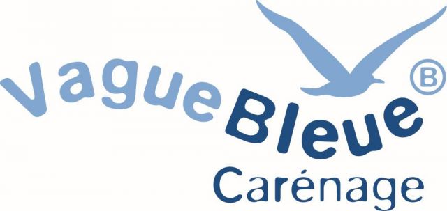 Logo Vague Bleue CARENAGES P
