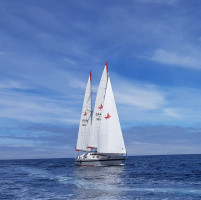 GrainSail07