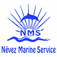 Logo NMS 01
