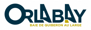 Logo Orlabay 2o22 01 1024x341