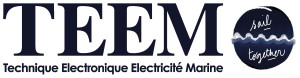 Logo TEEM ST bleu 1