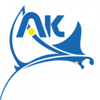 LogoArmorKite